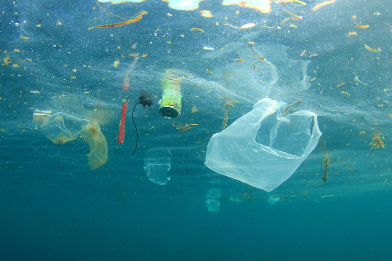 Plastic waste including bags and bottles floating in the ocean.
