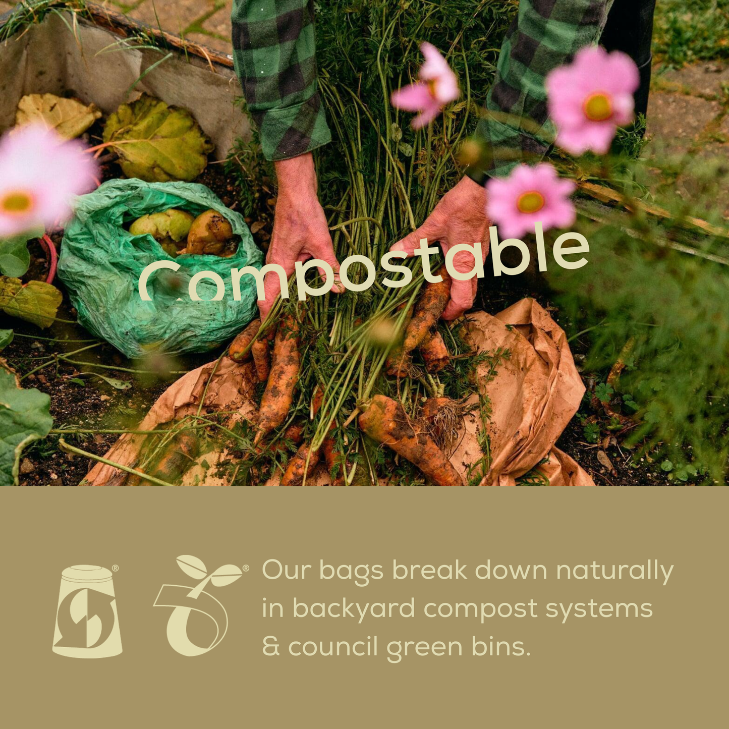 Person composting with visible compostable bags and text about BioBags being compostable at home of by council on a brown background. 