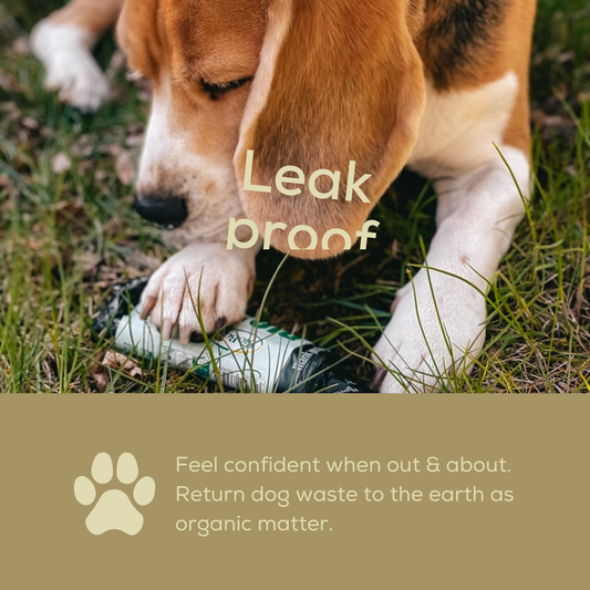 Dog using a compostable poop bag in the grass with text about leak-proof bags.
