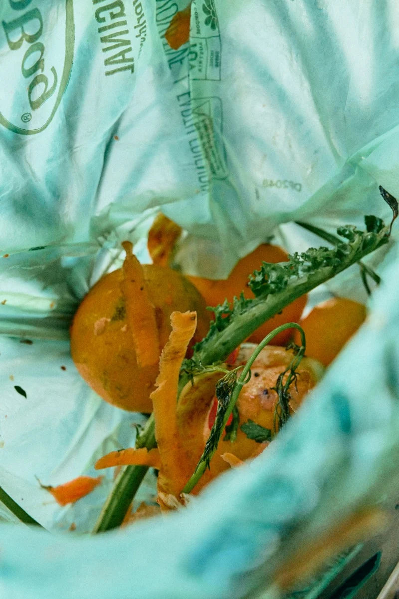 Photo of a compostable bin liner being used for organic kitchen waste. 