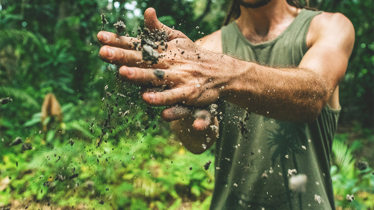 Person holding soil in their hands with a natural background
