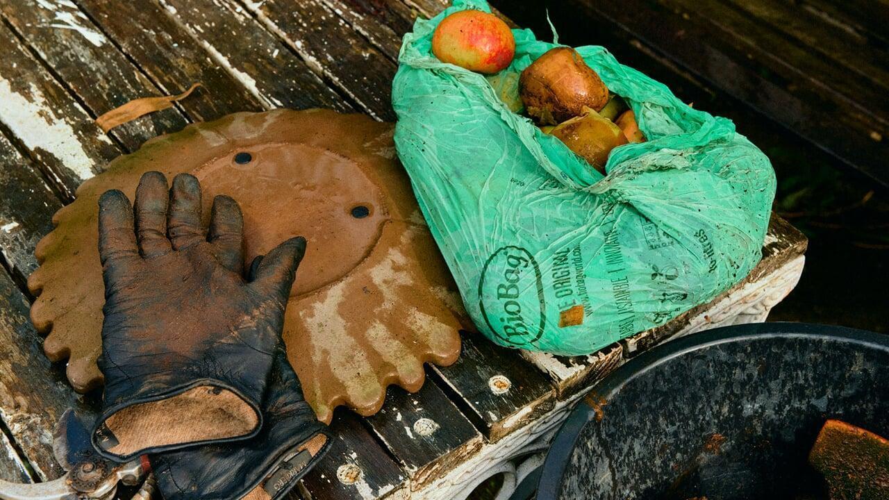 Green compostable bag with fruits, gloves, and a tool on a wooden surface