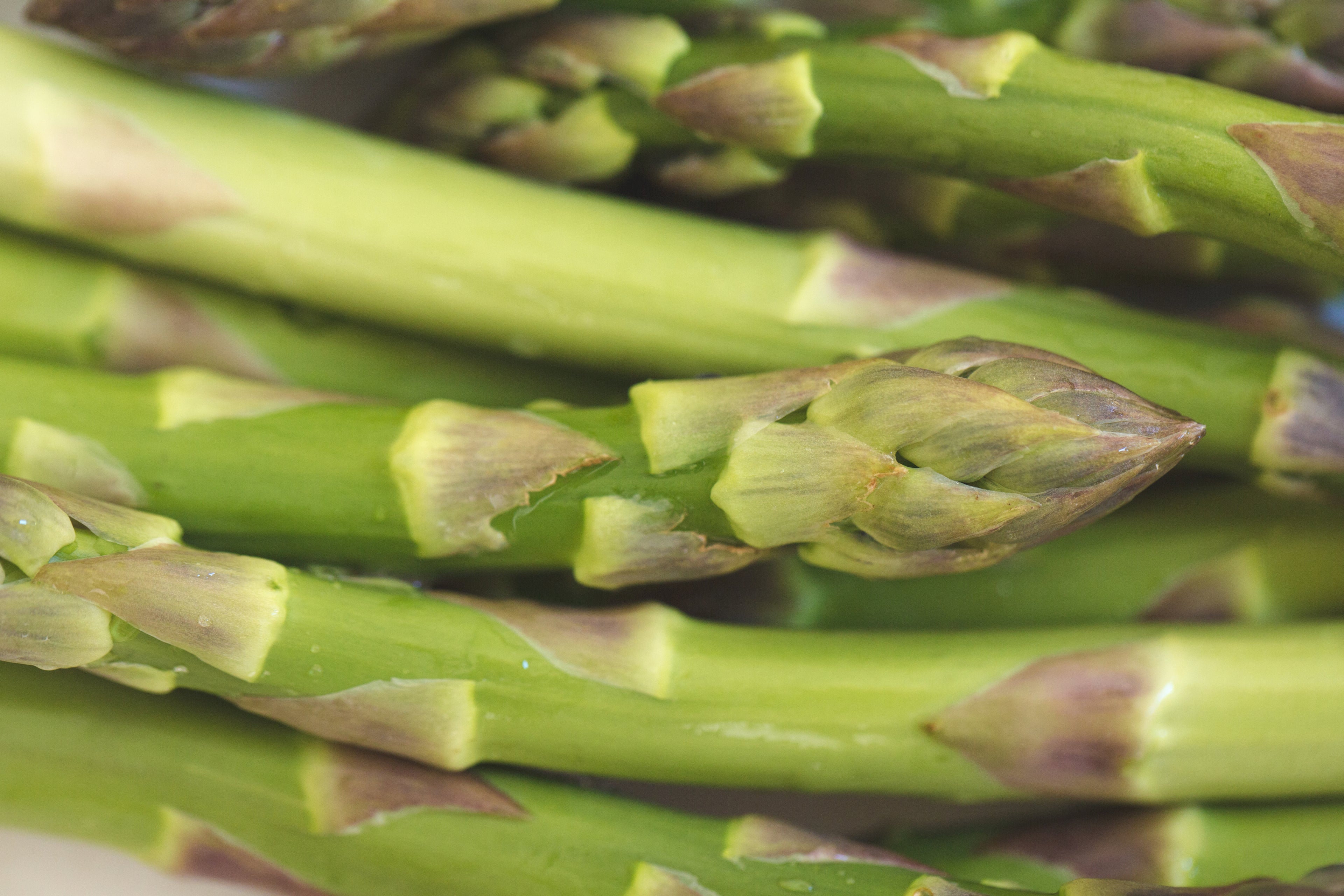 Close up image of a bunch of asparagus - showing what can go in a compostable bin liner