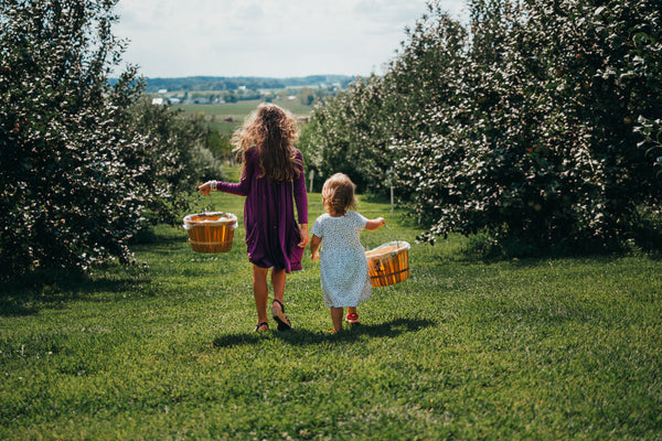 Photo of children picking fruit in an orchard