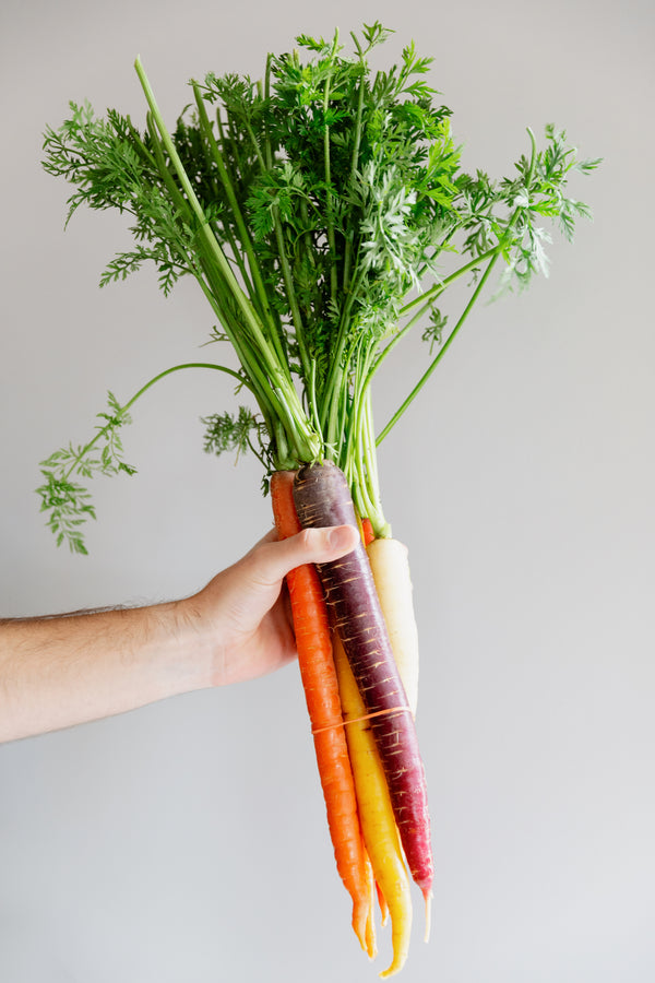Photo of a hand holding a bunch of carrots