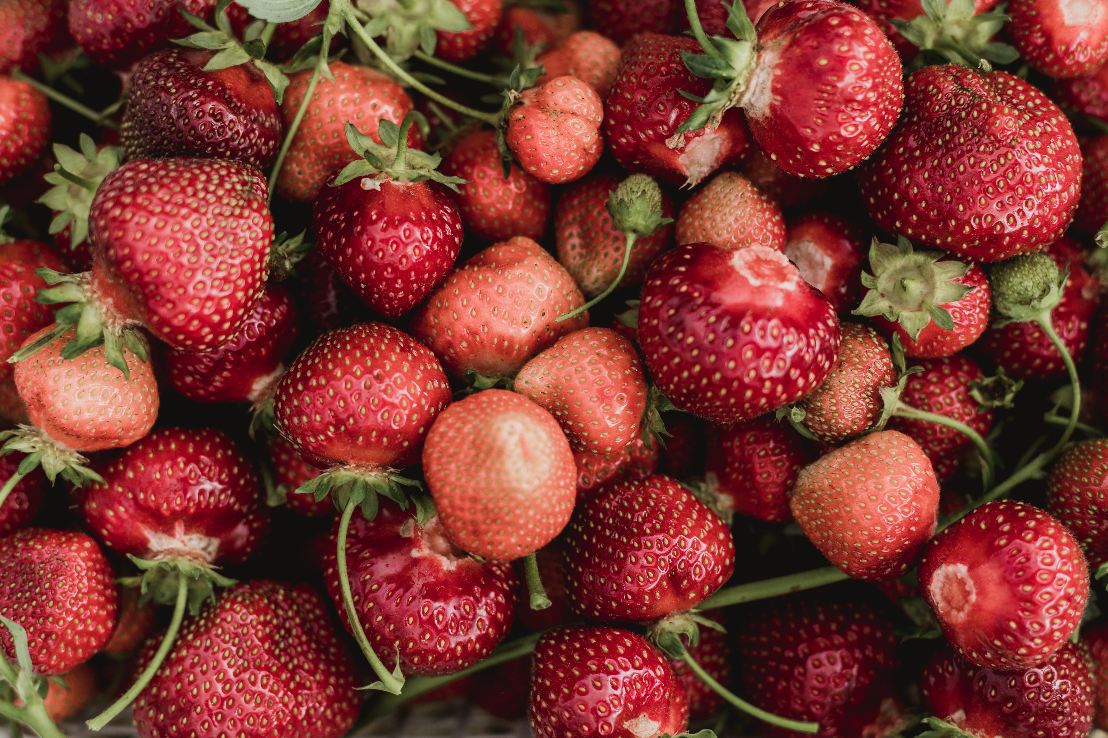 Close up photo of strawberries - showing what organic waste can go in a compostable bin liner
